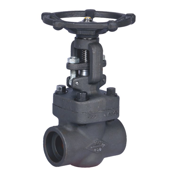 Forged Valve