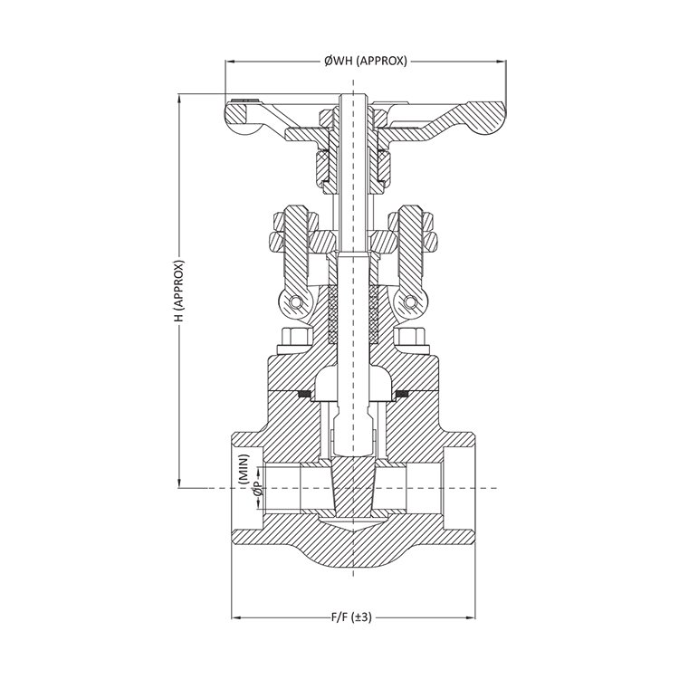 Forged Valve