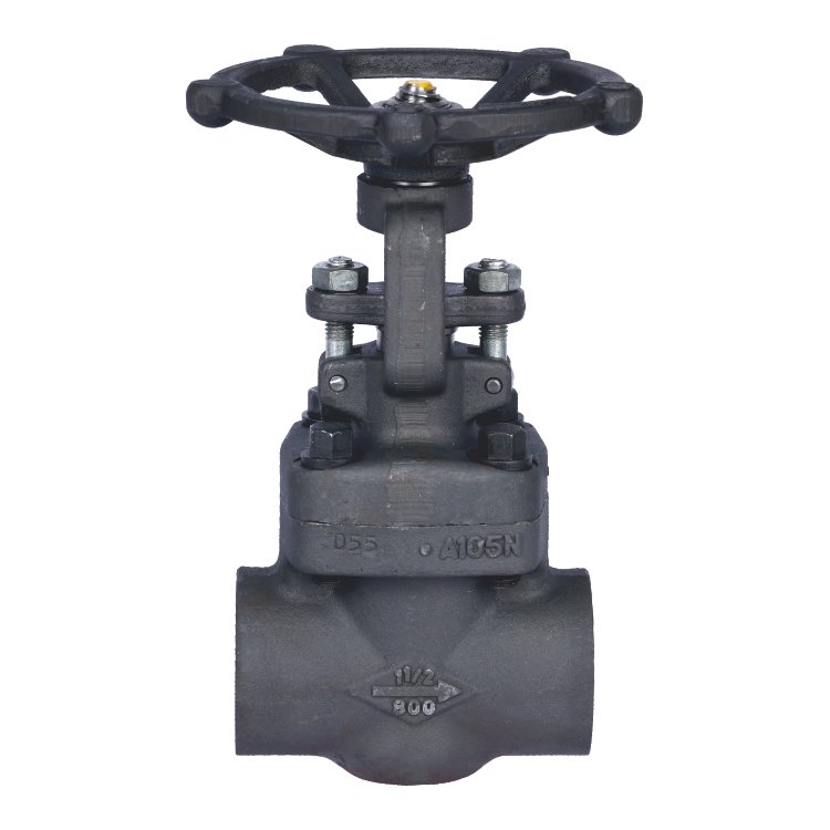 Forged Valve