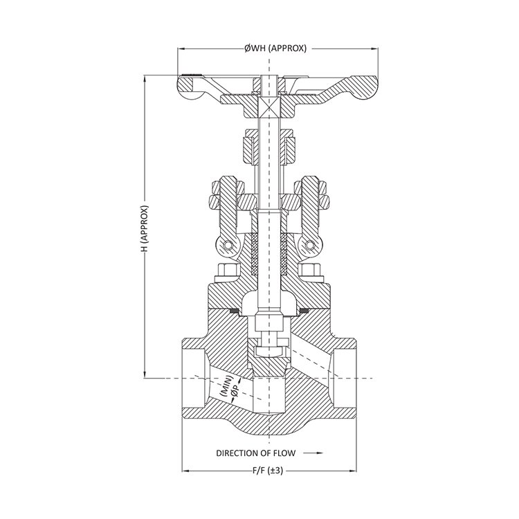 Forged Valve